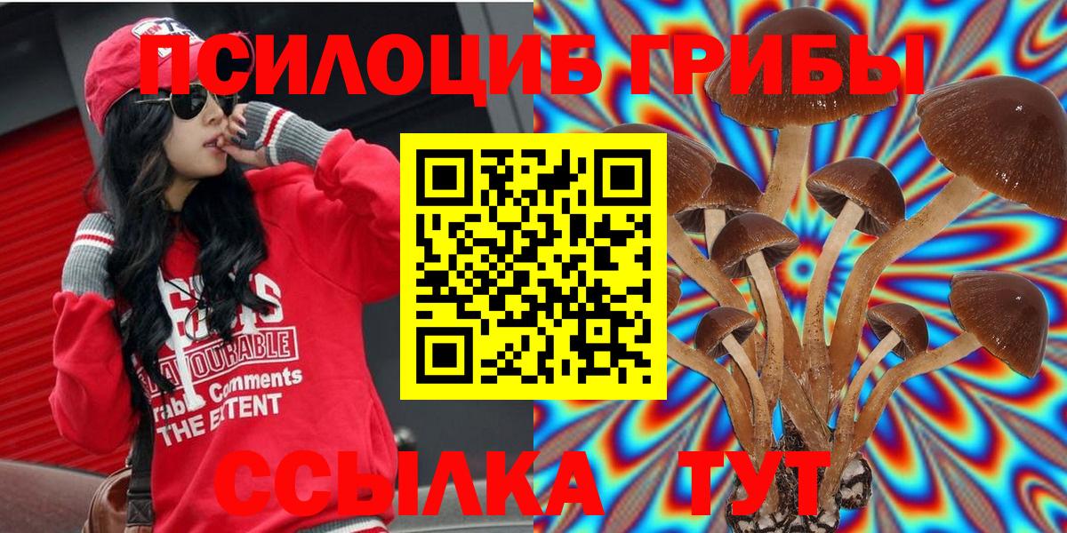 магазин продажи наркотиков  Галлюциногенные грибы GOLDEN TEACHER  Псилоцибиновые грибы MAGIC MUSHROOMS  Вход с VPN  Урус-Мартан 