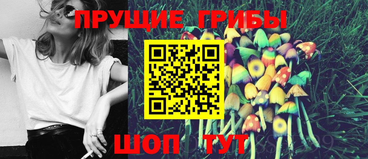 Галлюциногенные грибы Psilocybine cubensis Урус-Мартан